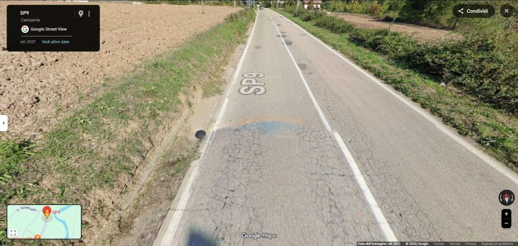 immagine annuncio 3 di 11