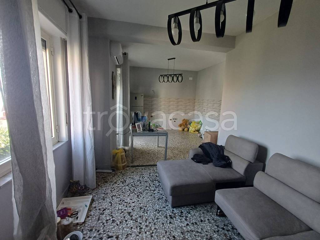 immagine annuncio 11 di 14