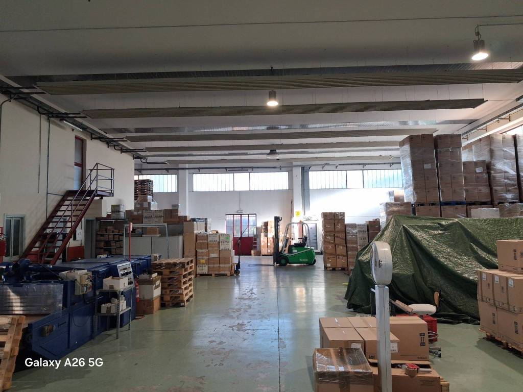 immagine annuncio 5 di 15