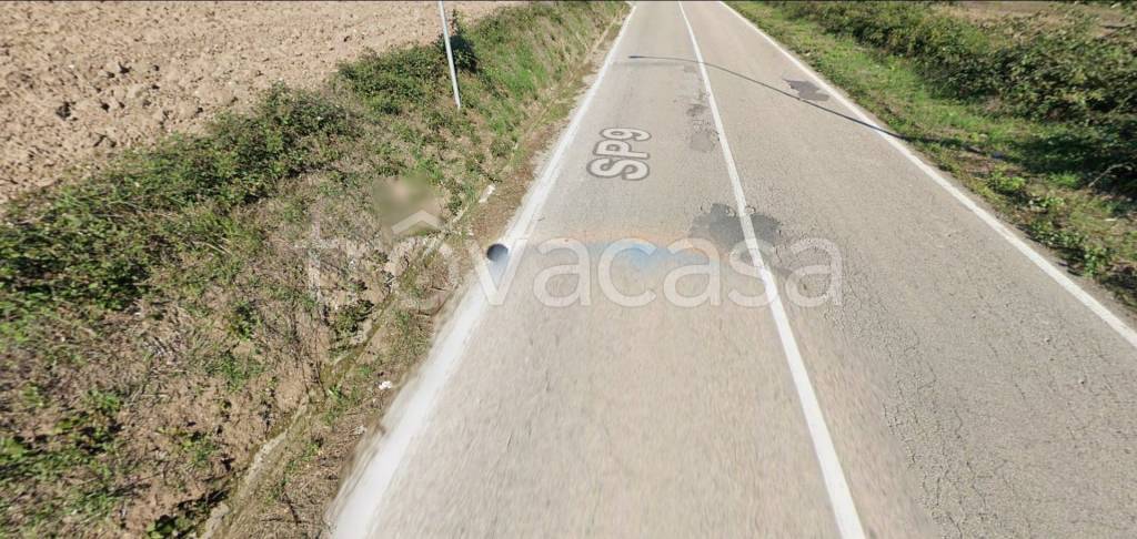 immagine annuncio 5 di 11