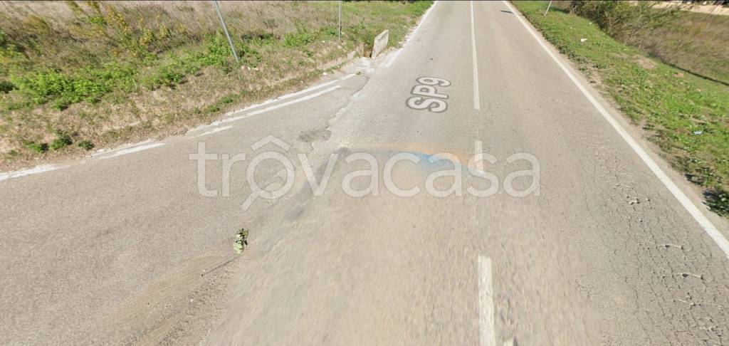 immagine annuncio 7 di 11