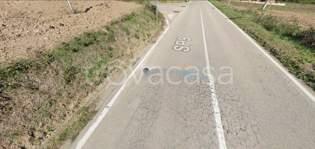 immagine annuncio 9 di 11