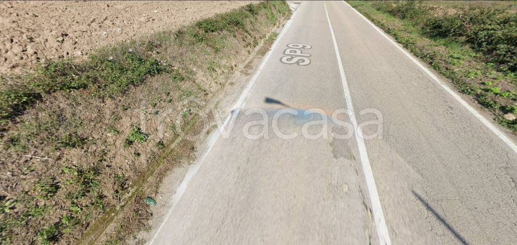 immagine annuncio 10 di 11