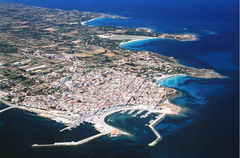 immagine annuncio 9 di 14