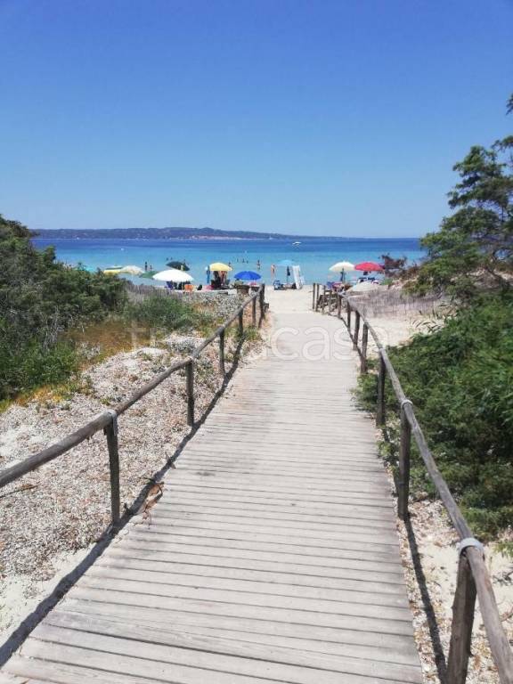 immagine annuncio 12 di 14