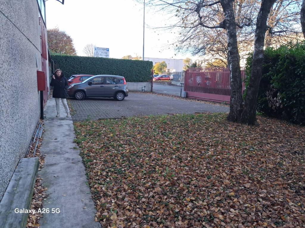 immagine annuncio 12 di 15