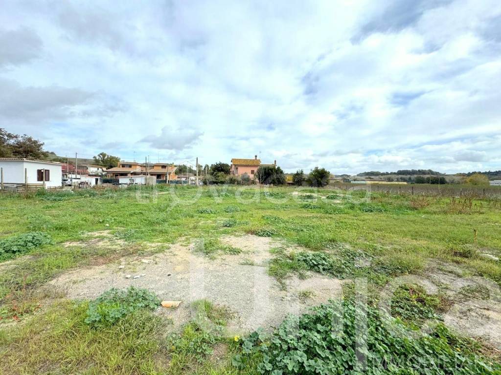 immagine annuncio 2 di 6