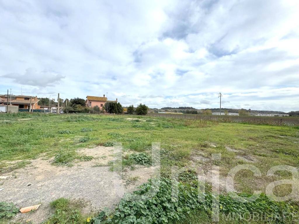 immagine annuncio 3 di 6