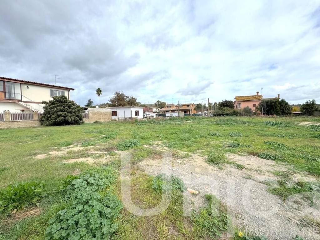 immagine annuncio 4 di 6