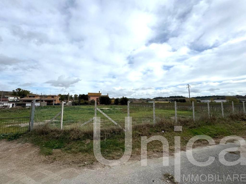 immagine annuncio 5 di 6