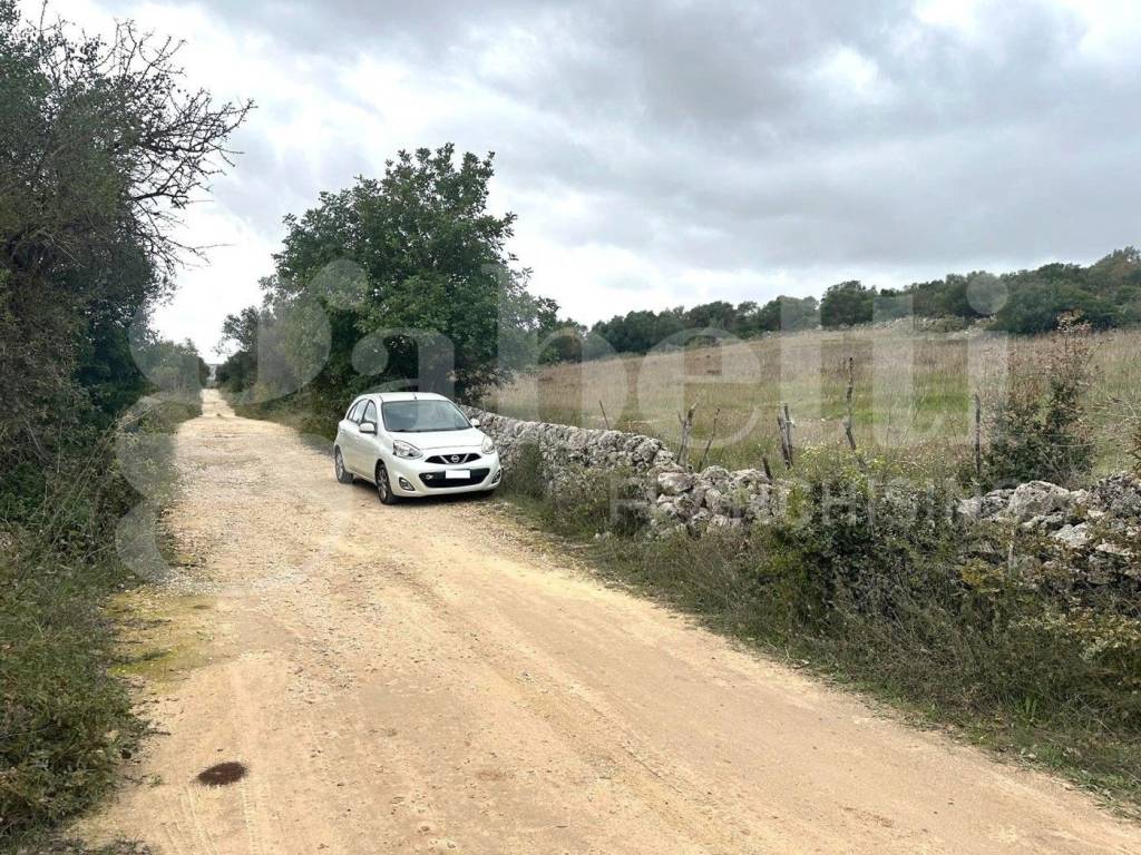 immagine annuncio 2 di 12