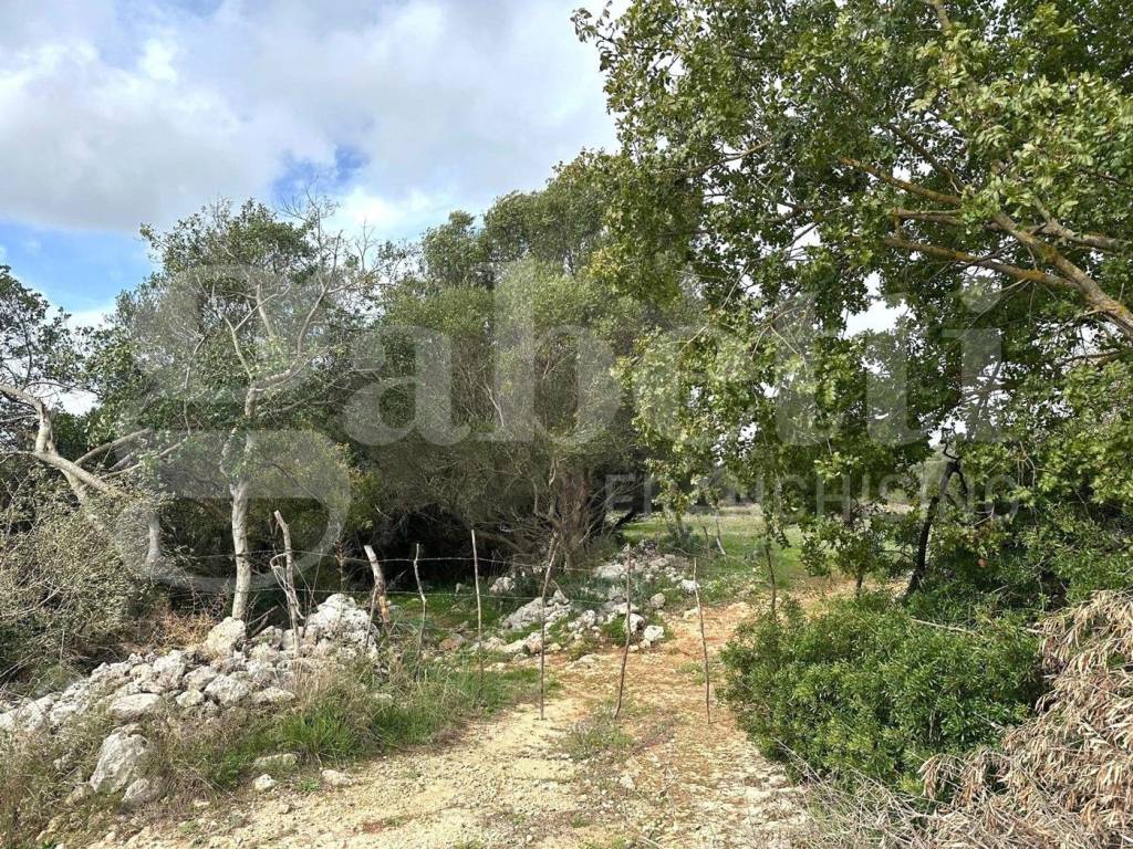 immagine annuncio 8 di 12