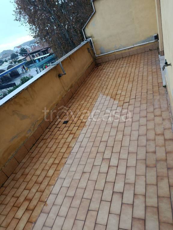 immagine annuncio 11 di 12