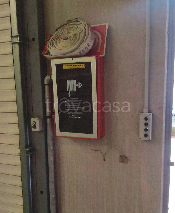 immagine annuncio 3 di 9