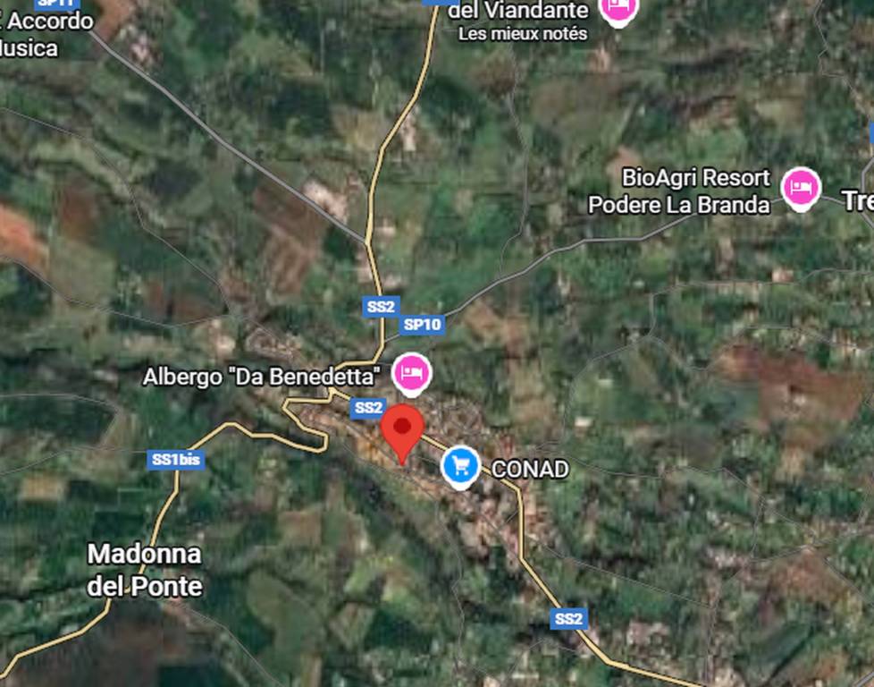 immagine annuncio 3 di 12