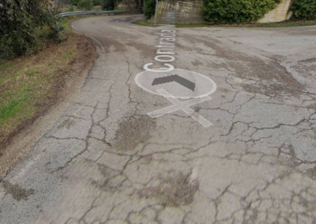 immagine annuncio 3 di 11