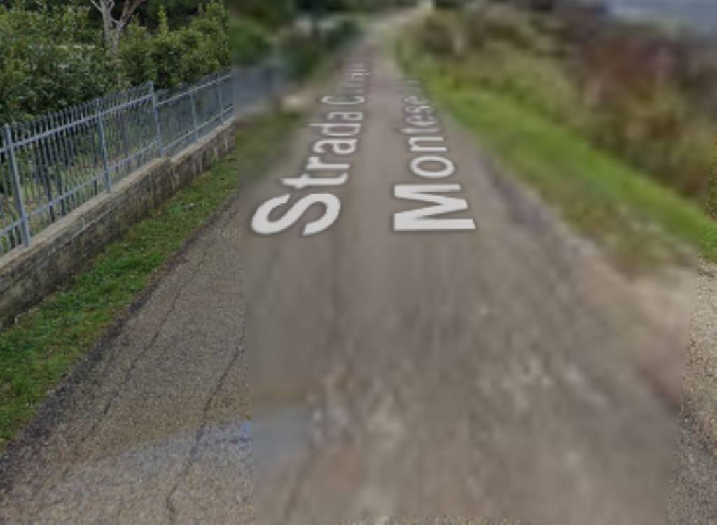 immagine annuncio 4 di 11