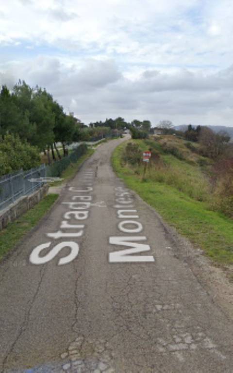 immagine annuncio 5 di 11