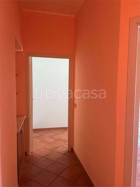 immagine annuncio 2 di 14