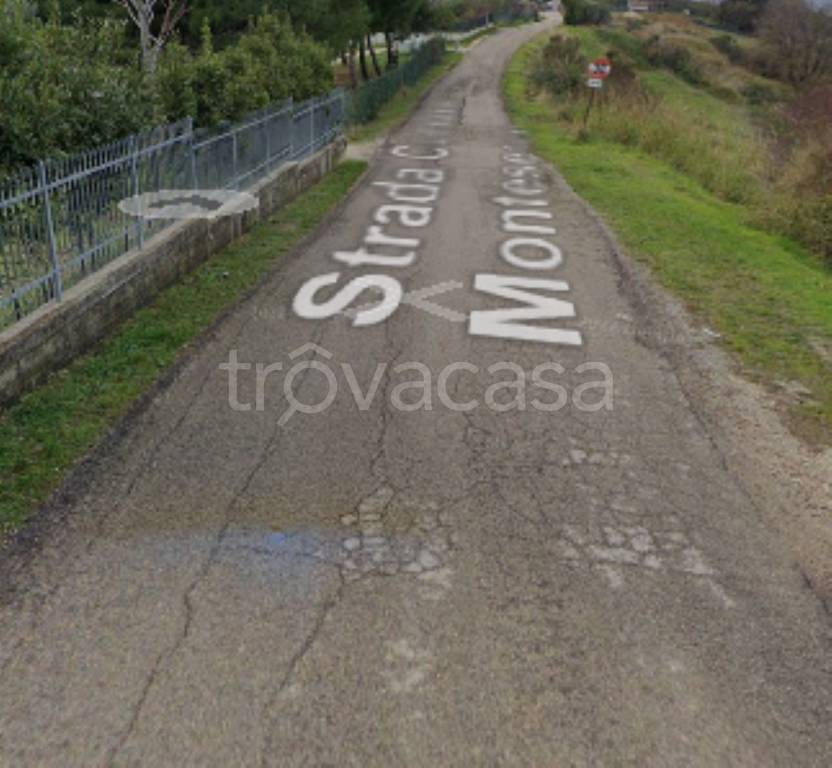 immagine annuncio 6 di 11