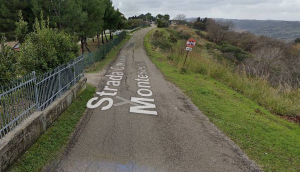 immagine annuncio 7 di 11