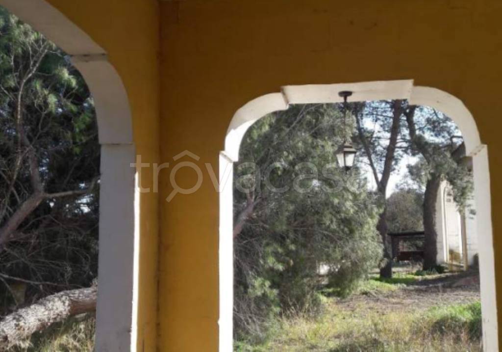 immagine annuncio 5 di 14