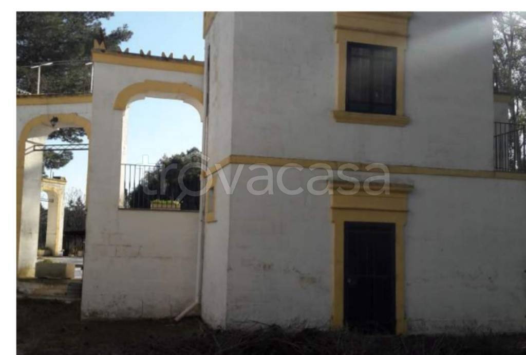 immagine annuncio 6 di 14