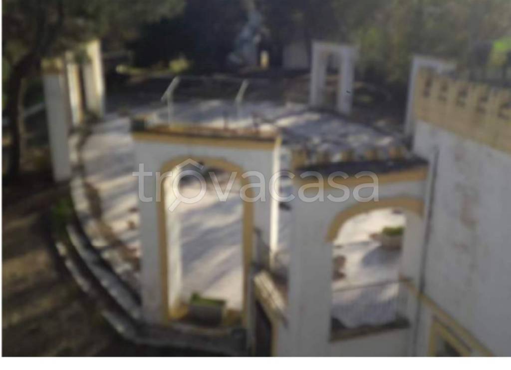 immagine annuncio 9 di 14