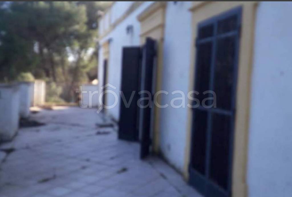 immagine annuncio 13 di 14