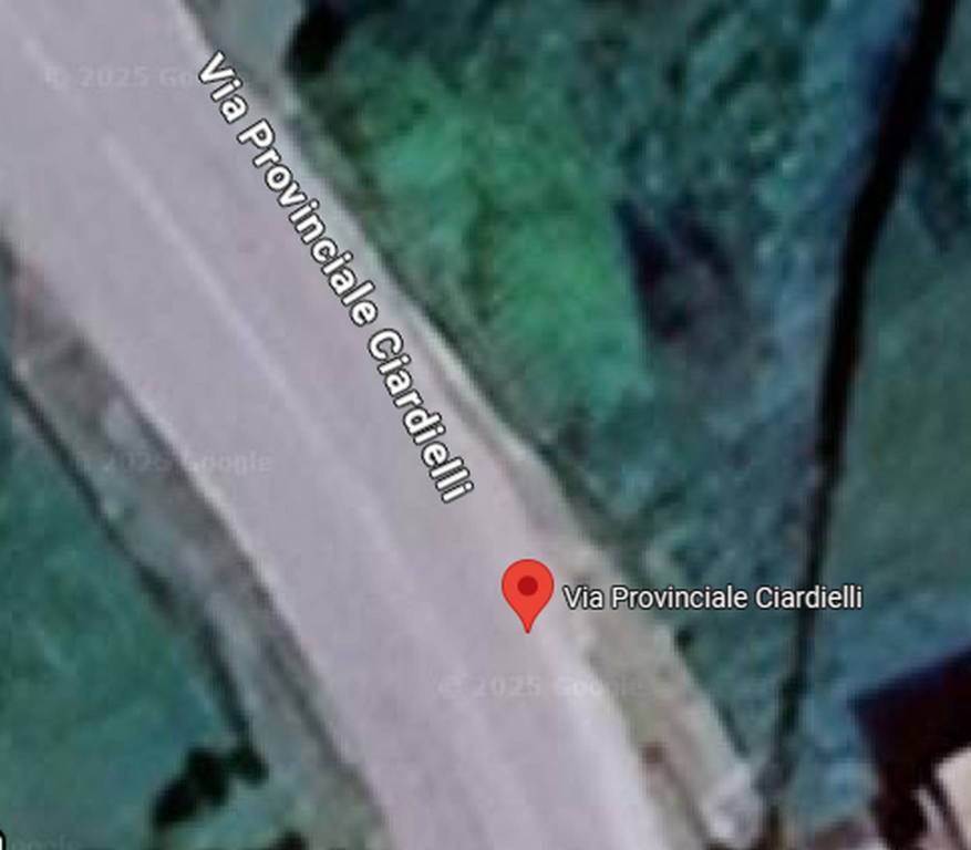 immagine annuncio 10 di 12