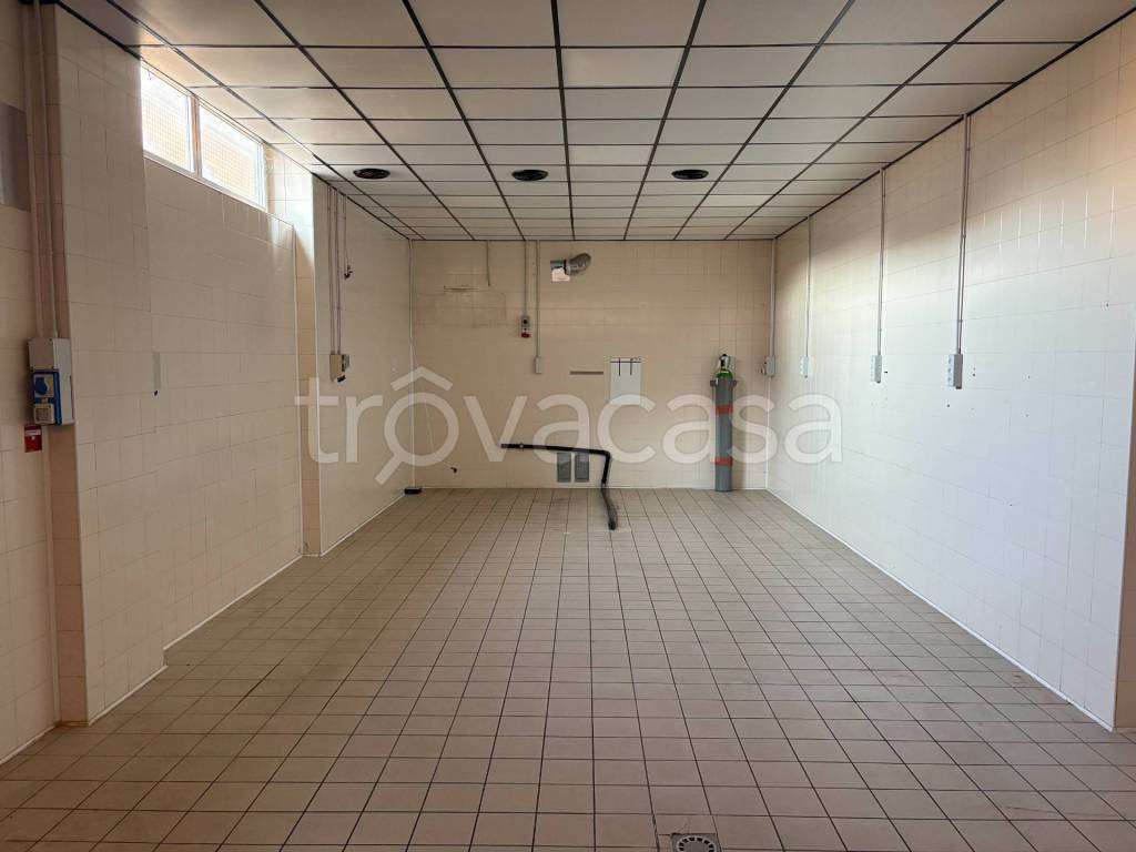 immagine annuncio 1 di 7