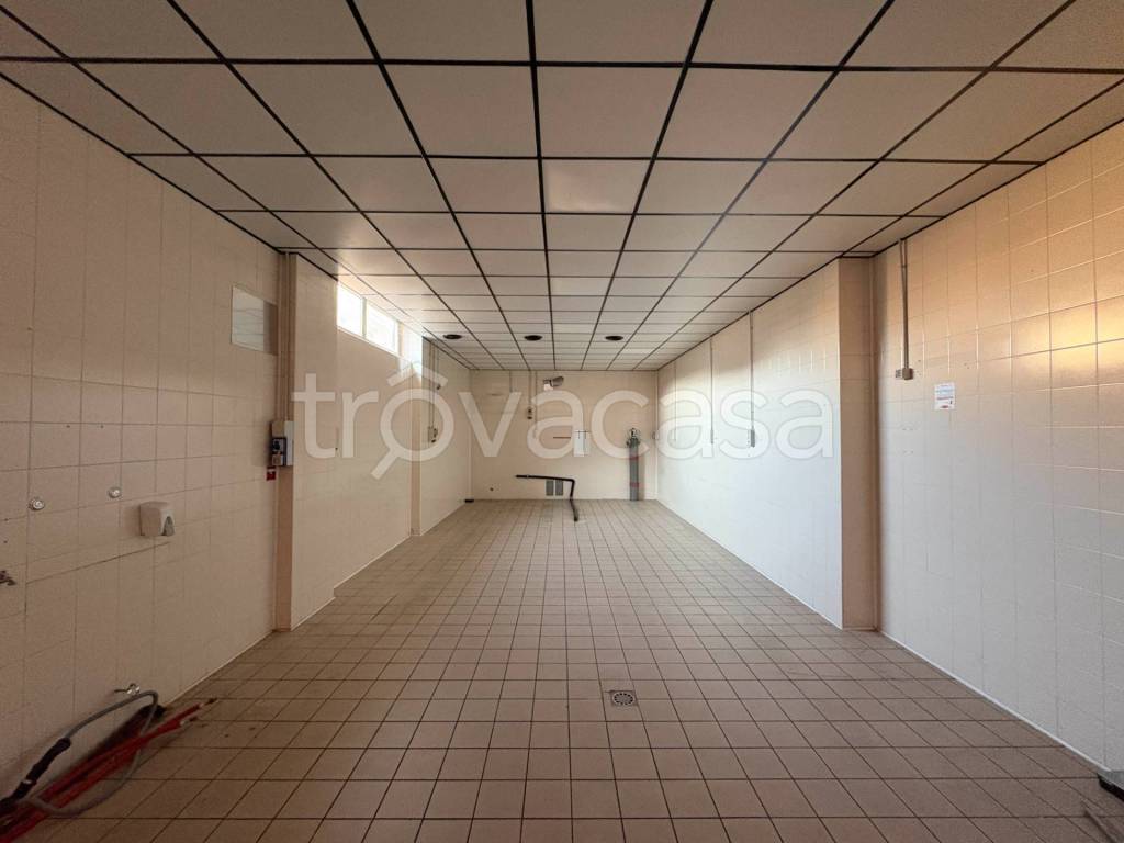 immagine annuncio 2 di 7