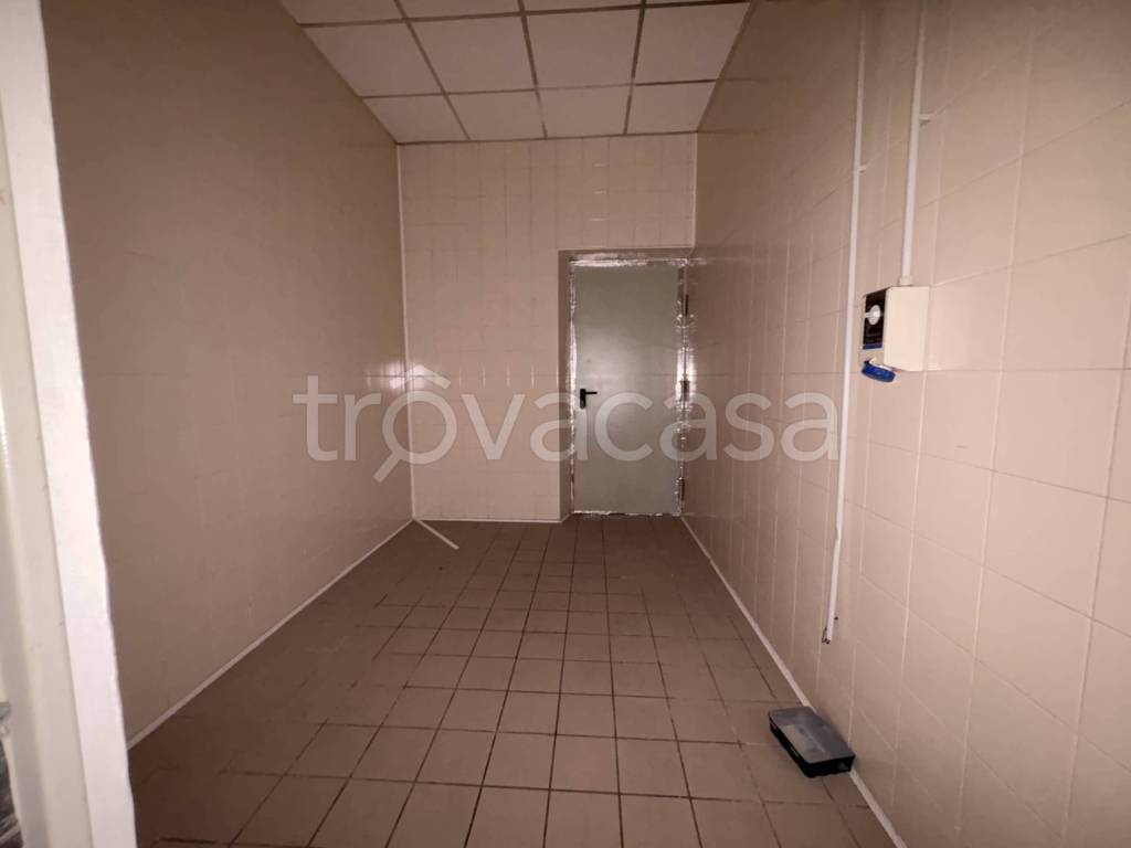 immagine annuncio 4 di 7