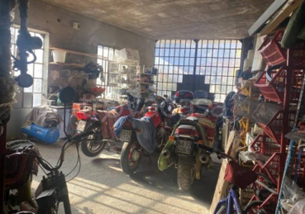 immagine annuncio 3 di 12