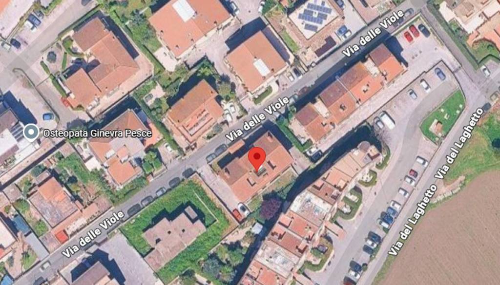 immagine annuncio 6 di 12