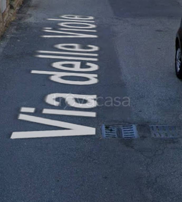 immagine annuncio 8 di 12