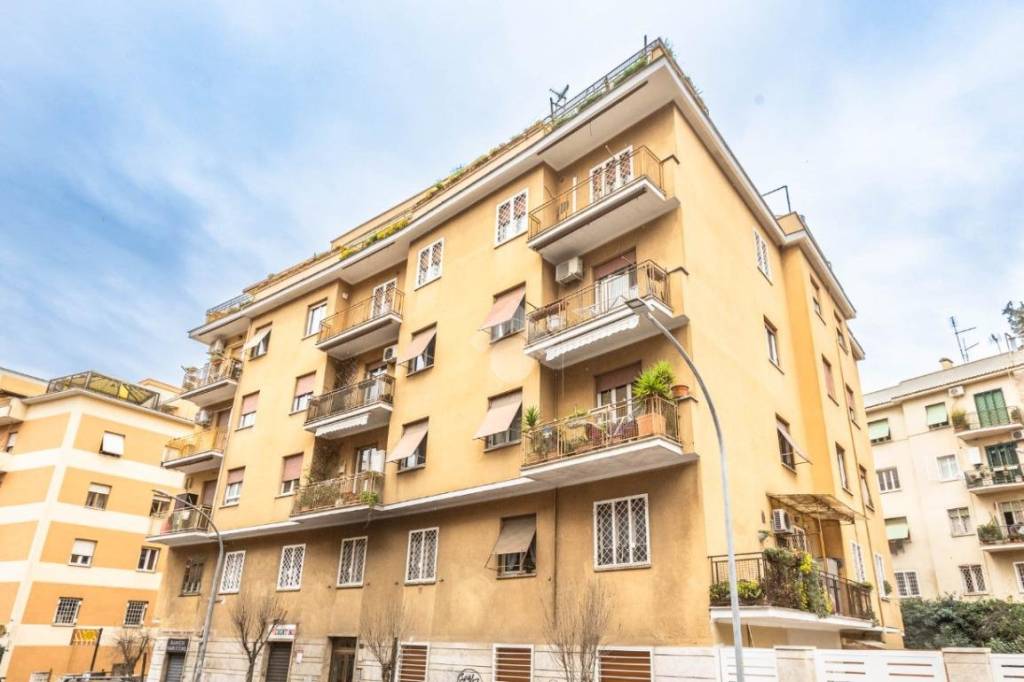 immagine annuncio 1 di 11