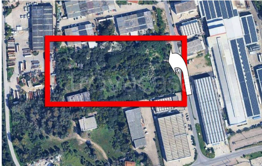 immagine annuncio 1 di 12