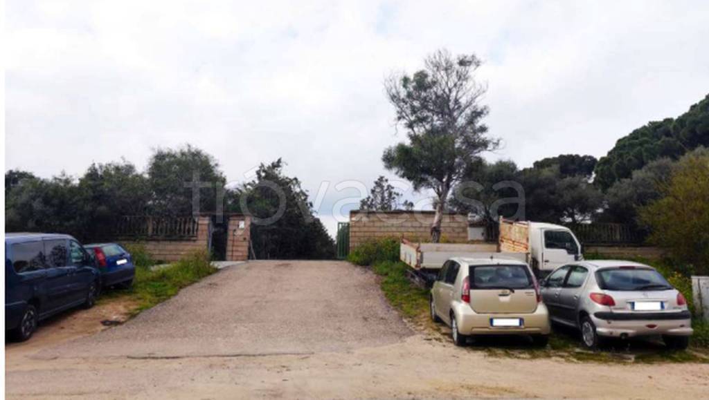 immagine annuncio 4 di 12