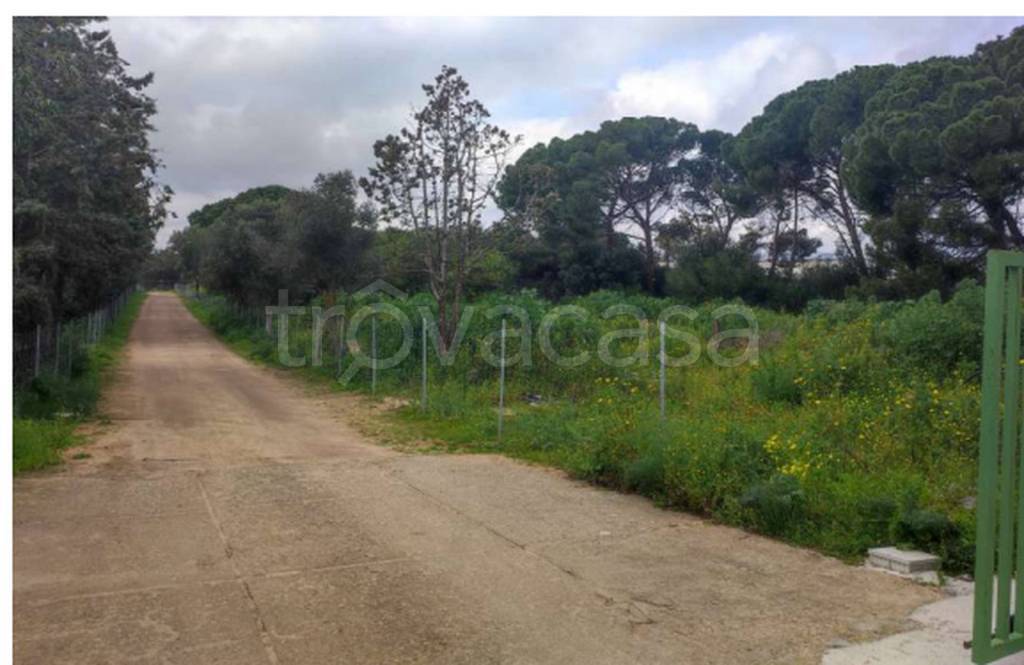 immagine annuncio 5 di 12