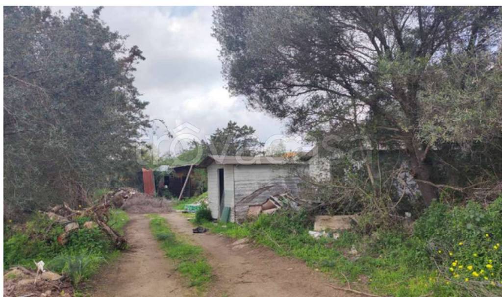 immagine annuncio 6 di 12