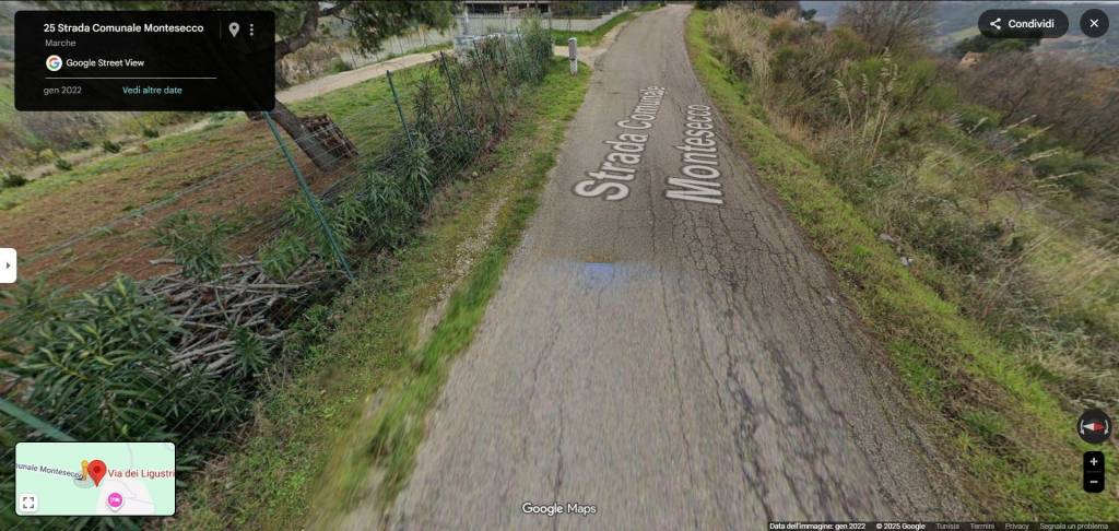 immagine annuncio 6 di 11