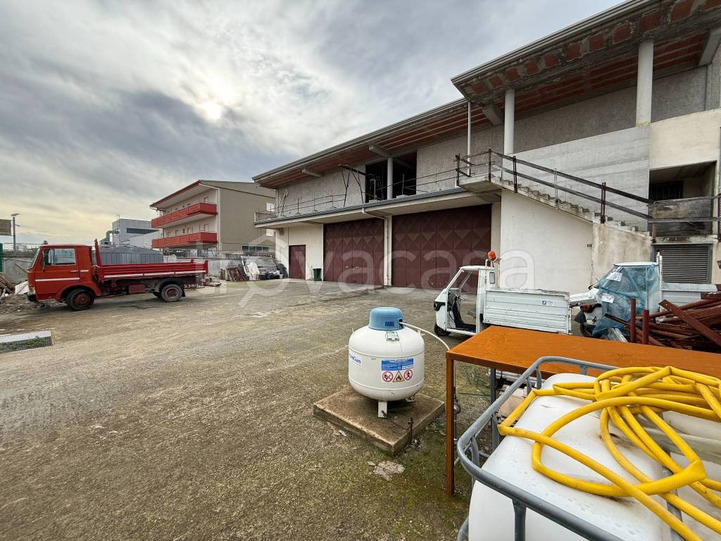 immagine annuncio 7 di 15