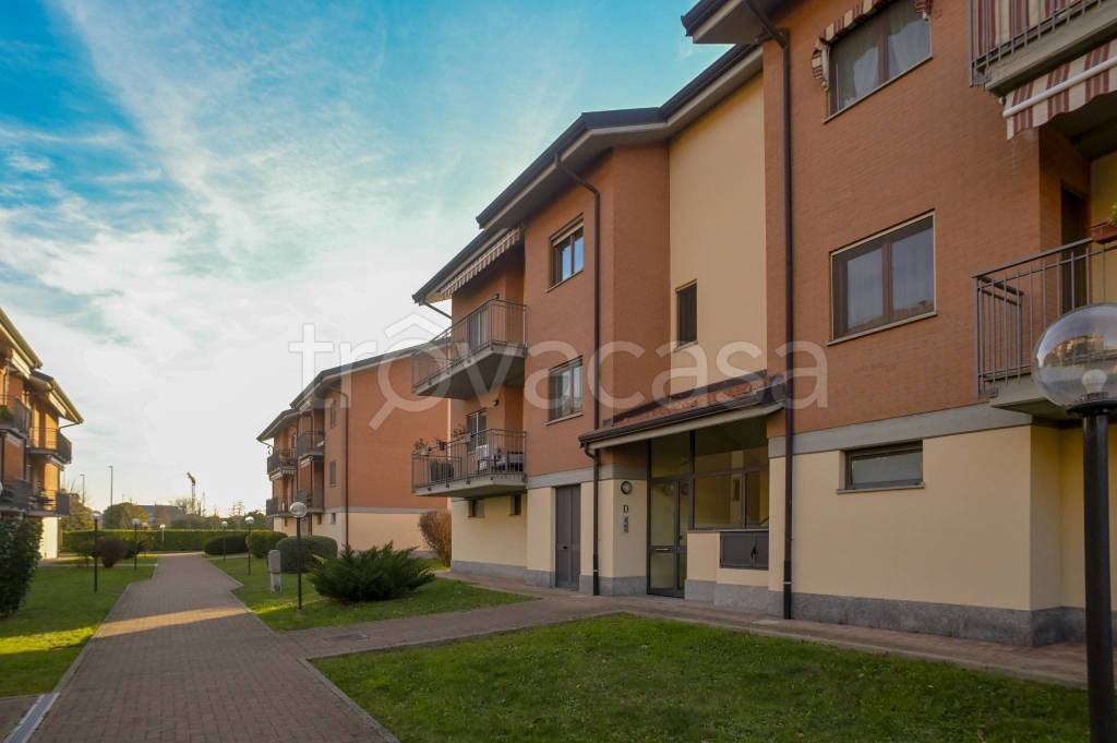 immagine annuncio 2 di 15