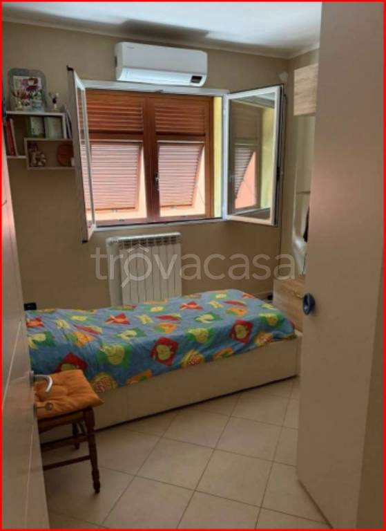 immagine annuncio 9 di 14