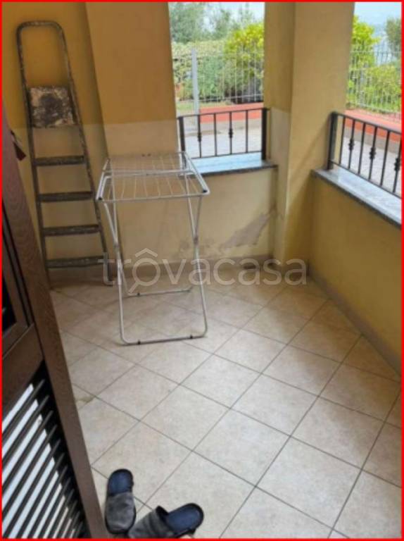 immagine annuncio 12 di 14