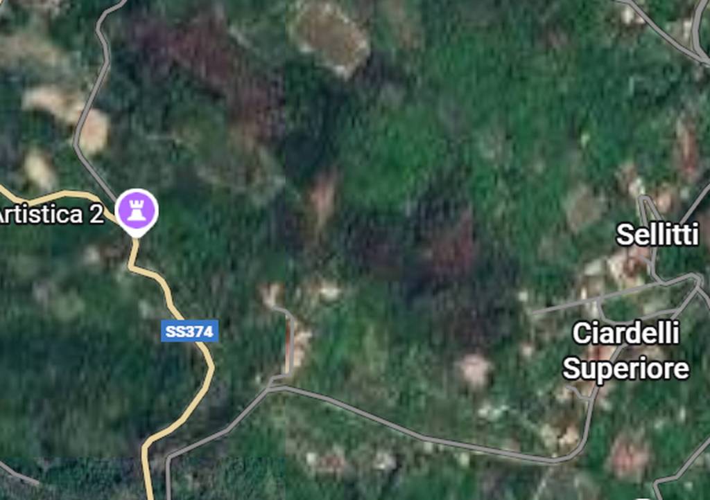 immagine annuncio 4 di 11