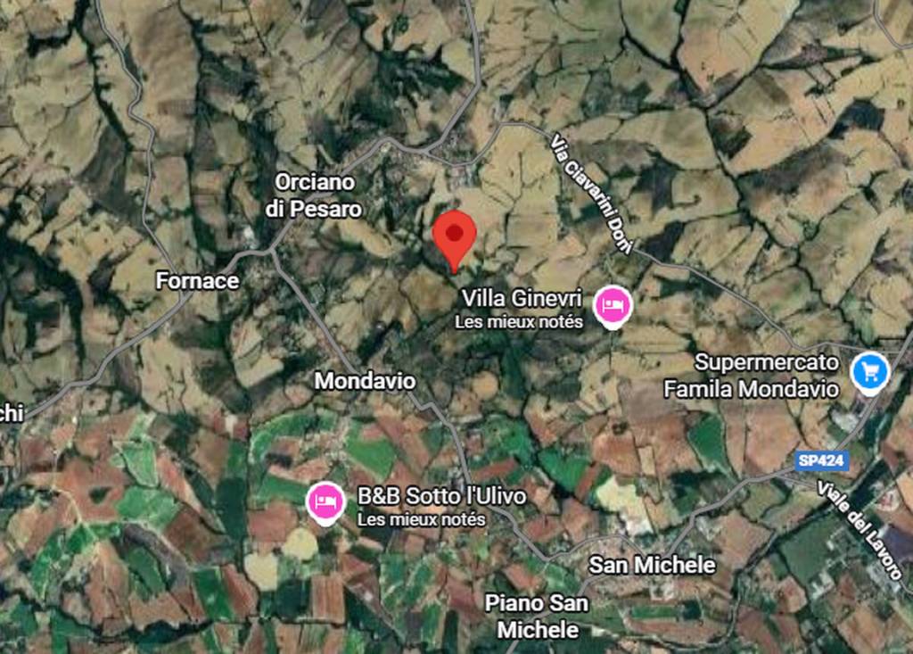 immagine annuncio 9 di 10