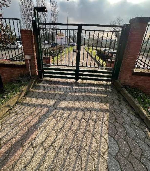 immagine annuncio 3 di 12