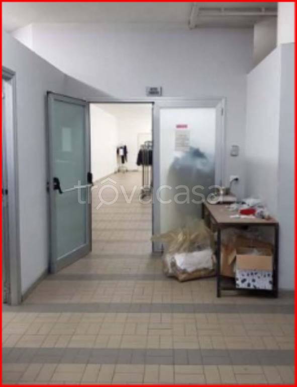 immagine annuncio 3 di 12